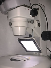 oled01 oled01