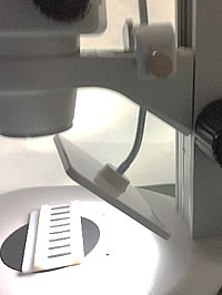 oled02 oled02